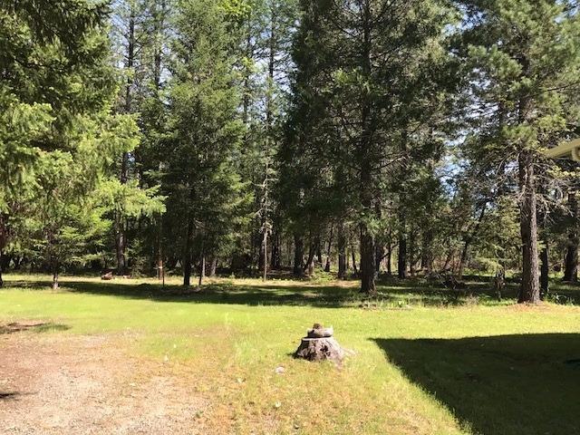 3354 Pleasant Creek Road Rogue River, OR 97537 - Photo 15 of 19 Additional Photo