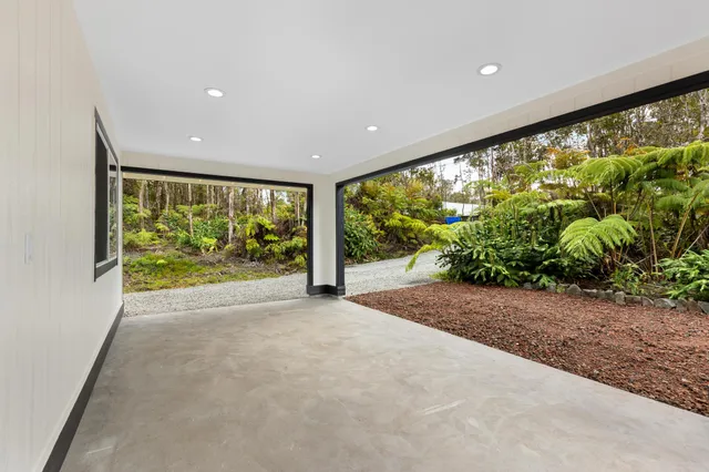 a view of a garden with plants and large windows