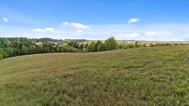 a view of a yard with a pathway