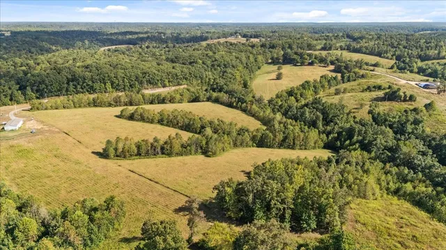 a view of a lake with a mountain