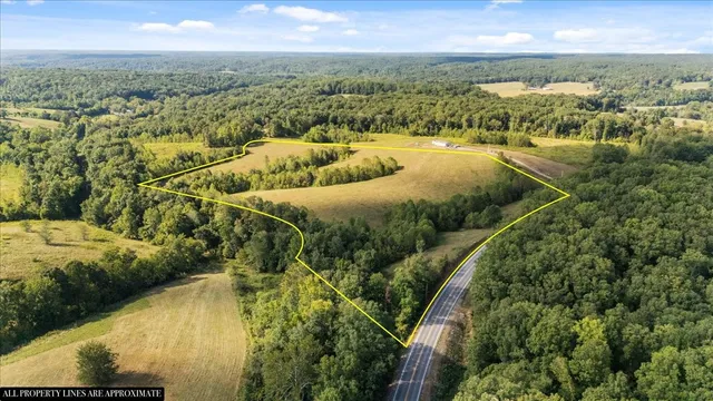 a view of a lake with a yard