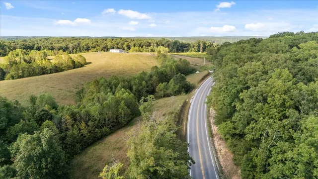 a view of a yard with plants