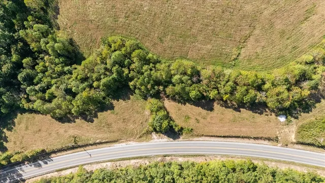 a view of ocean with large trees
