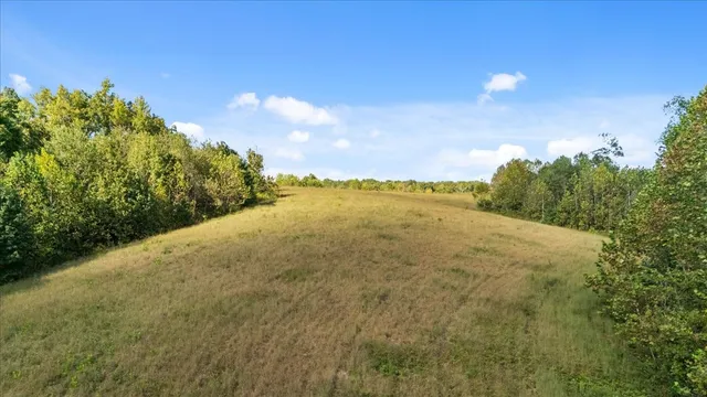 a view of a yard with an trees