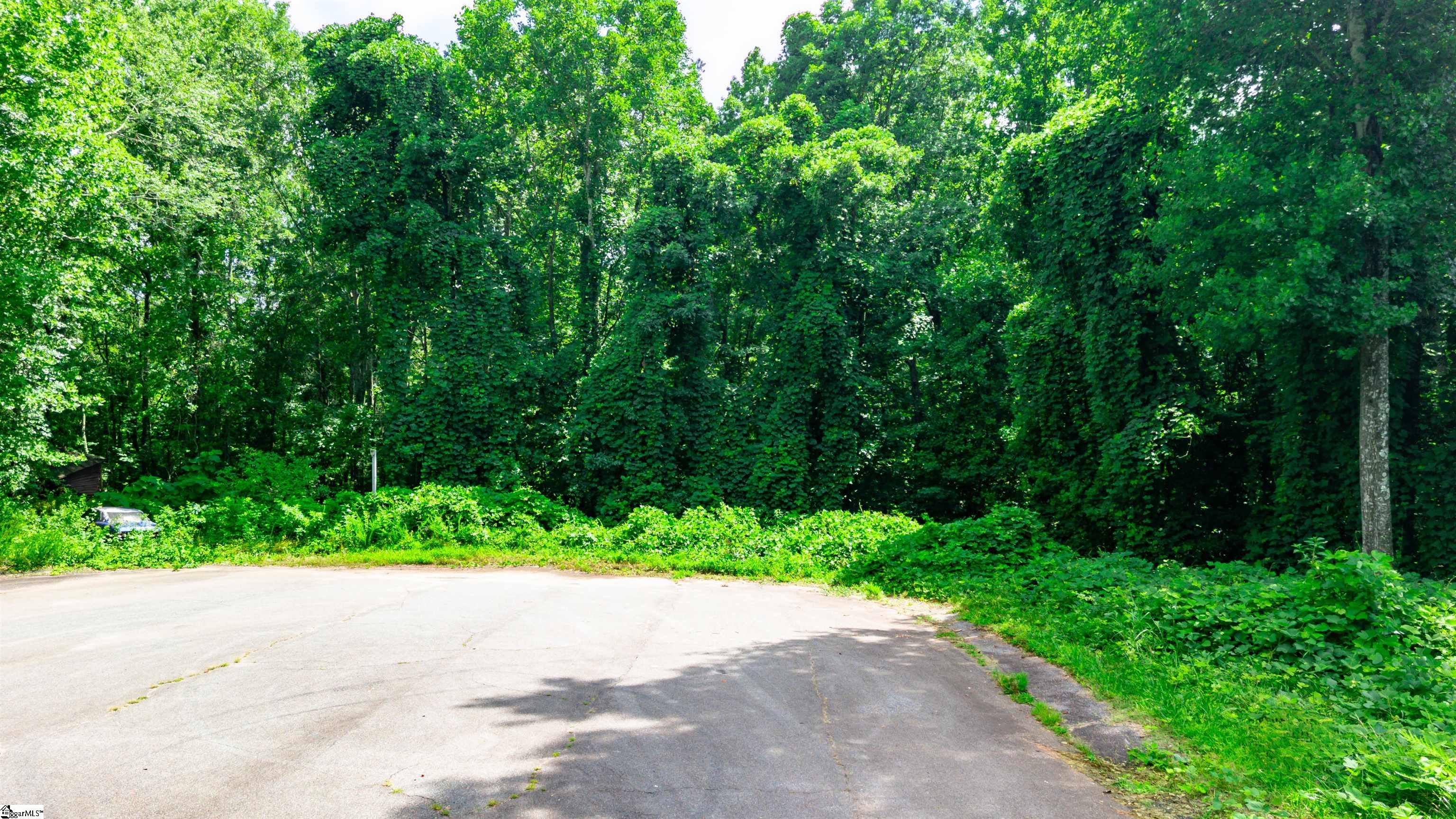0 Old Schoolhouse Road Norris, SC 29667 - Photo 2 of 10