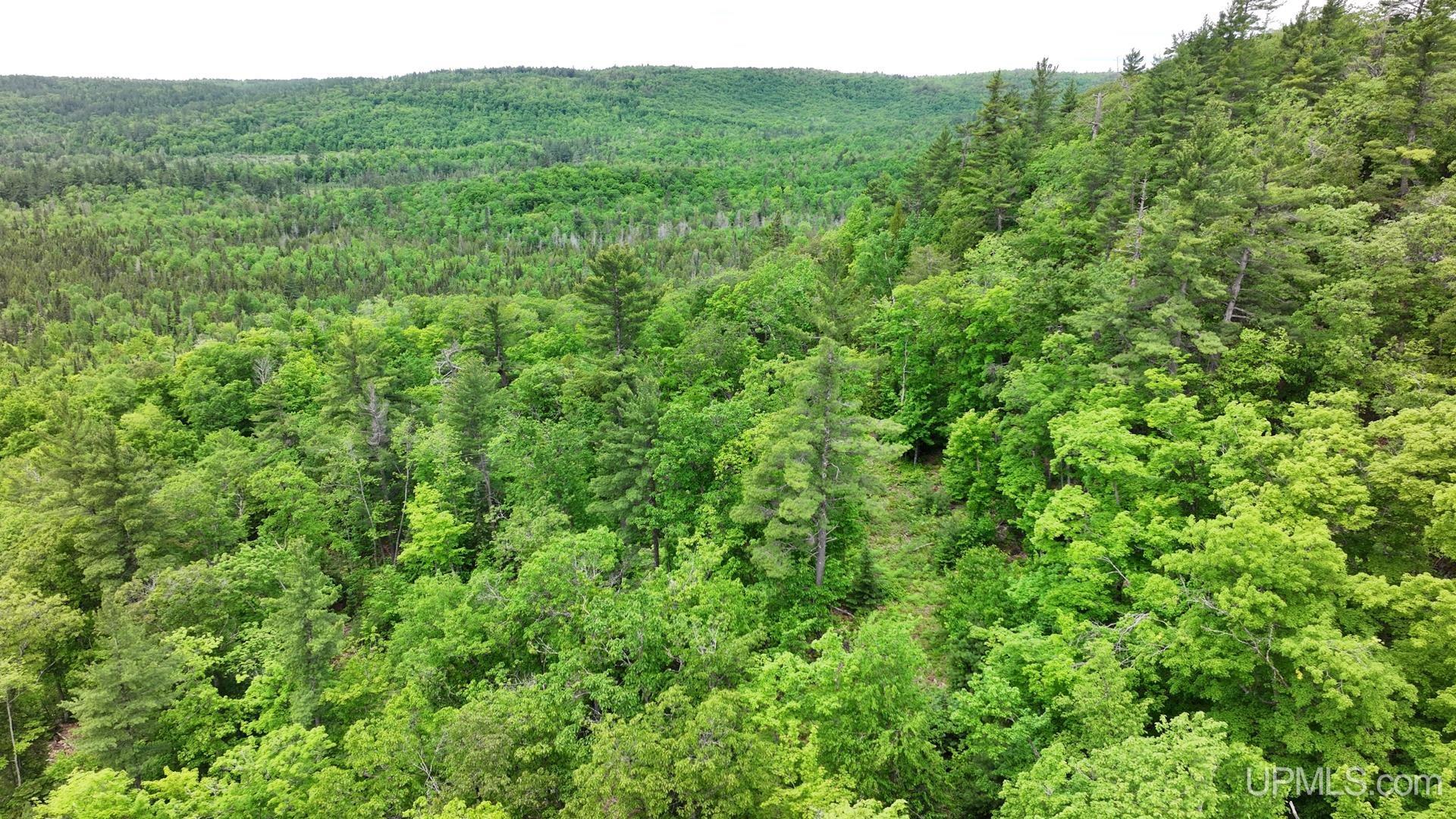 Tbd Tbd Co Road Negaunee, MI 49866 - Photo 41 of 47