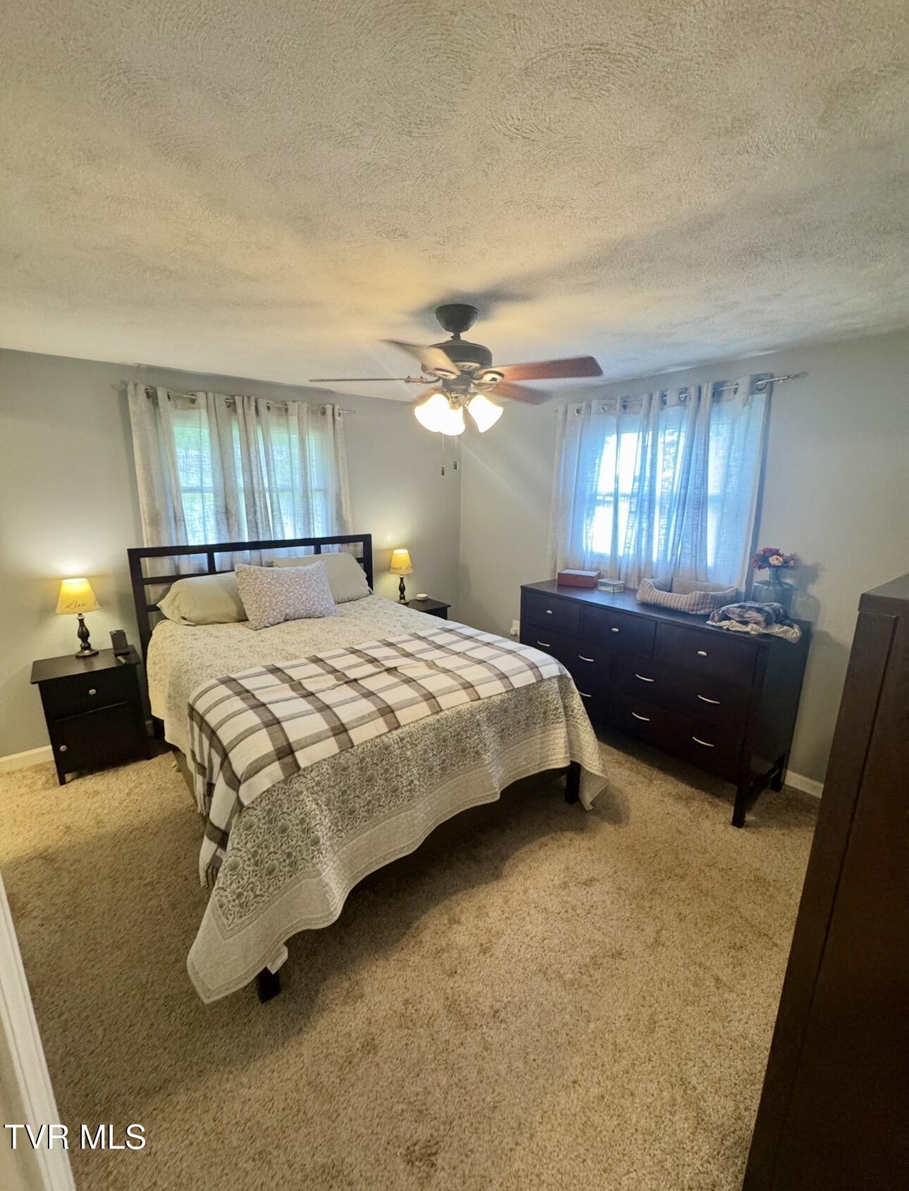 138 Richard Street Gray, TN 37615 - Photo 12 of 23 IMG_9006