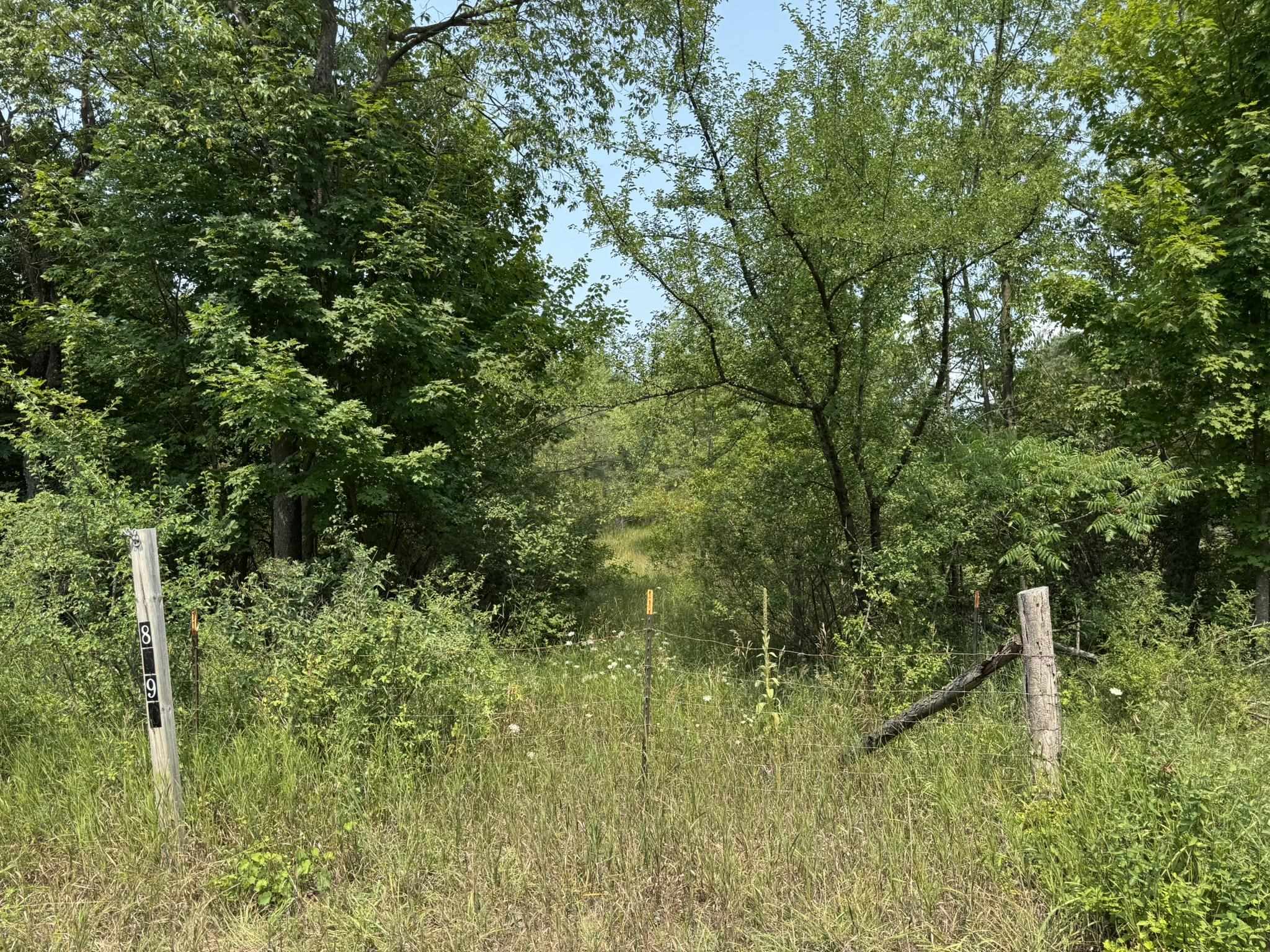 8590 Homestead Road Benzonia, MI 49616 - Photo 2 of 9 1949183-0edb8192-f2f5-48d3-80b3-d657678734a0.JPG