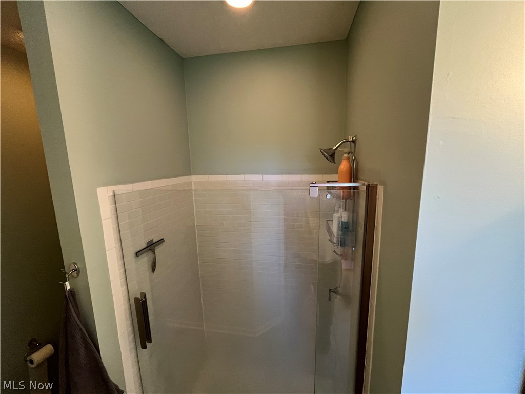 4842 Ridge Road Medina, OH 44256 - Photo 42 of 50 Large shower