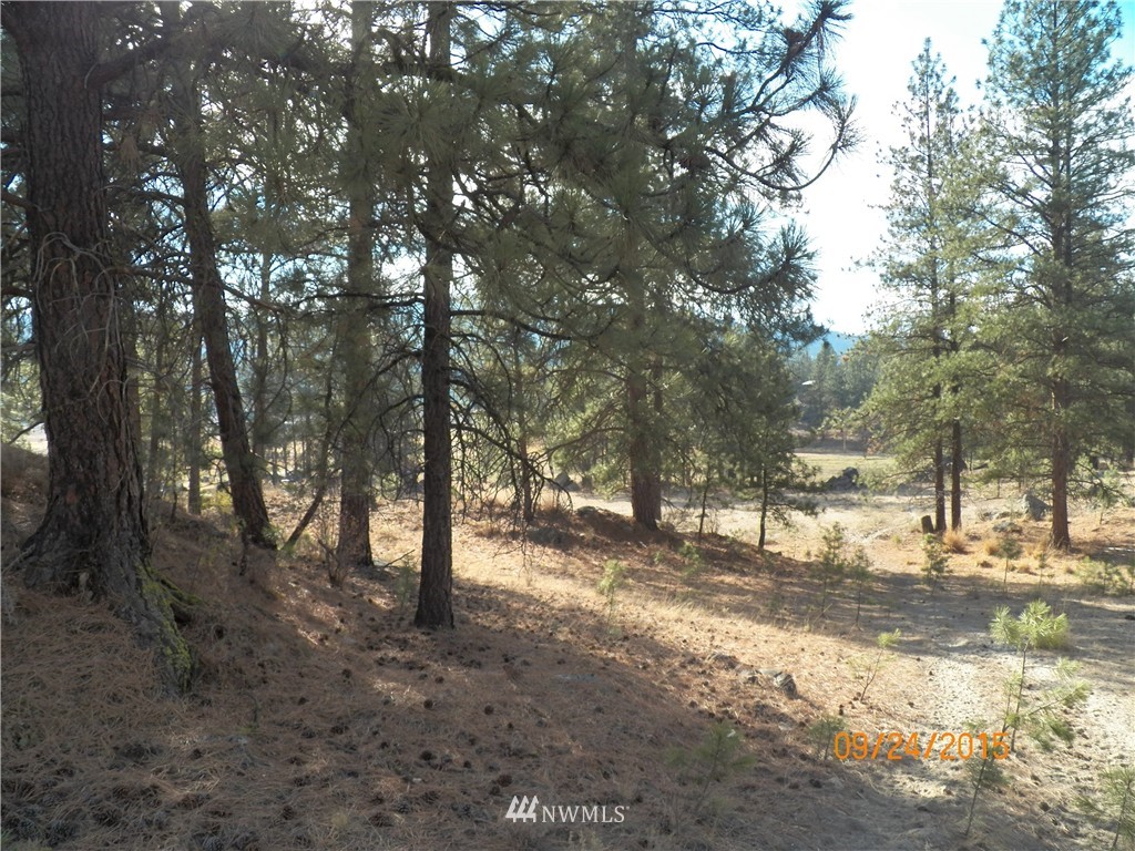 61 Main Road Tonasket, WA 98855 - Photo 12 of 19