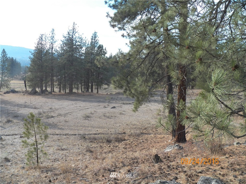 61 Main Road Tonasket, WA 98855 - Photo 14 of 19