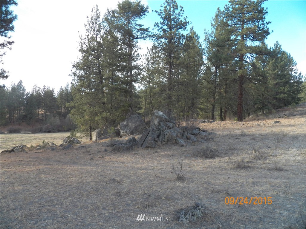 61 Main Road Tonasket, WA 98855 - Photo 16 of 19