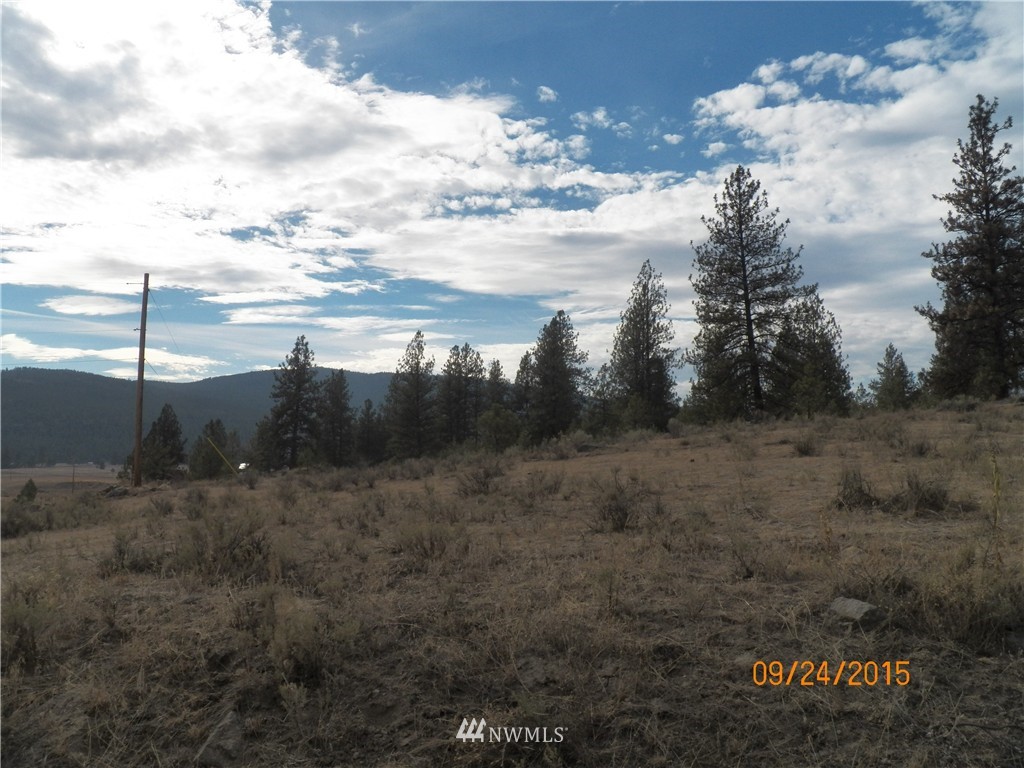 61 Main Road Tonasket, WA 98855 - Photo 3 of 19