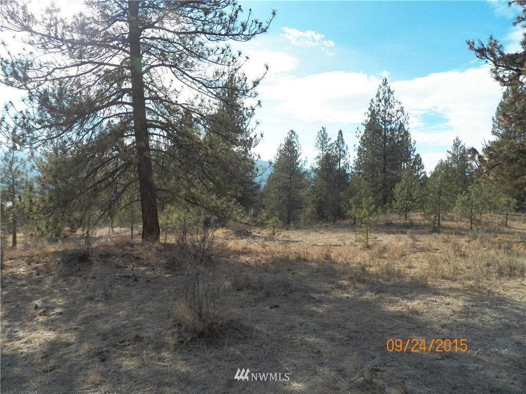 61 Main Road Tonasket, WA 98855 - Photo 7 of 19