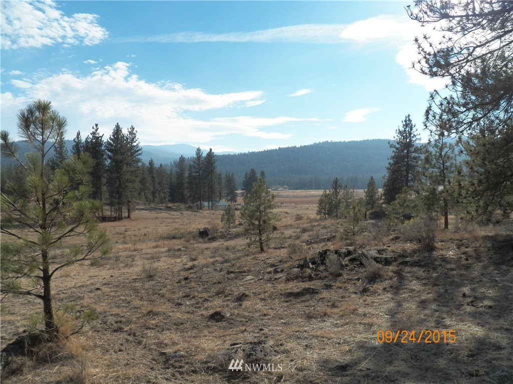 61 Main Road Tonasket, WA 98855 - Photo 8 of 19