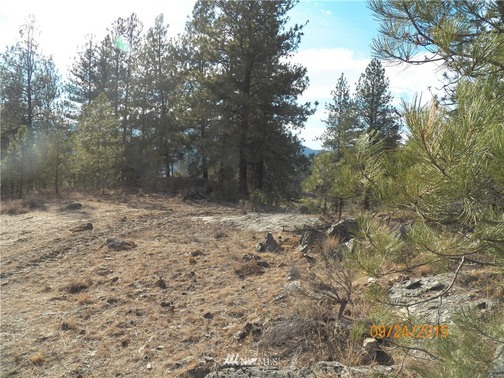 61 Main Road Tonasket, WA 98855 - Photo 10 of 19