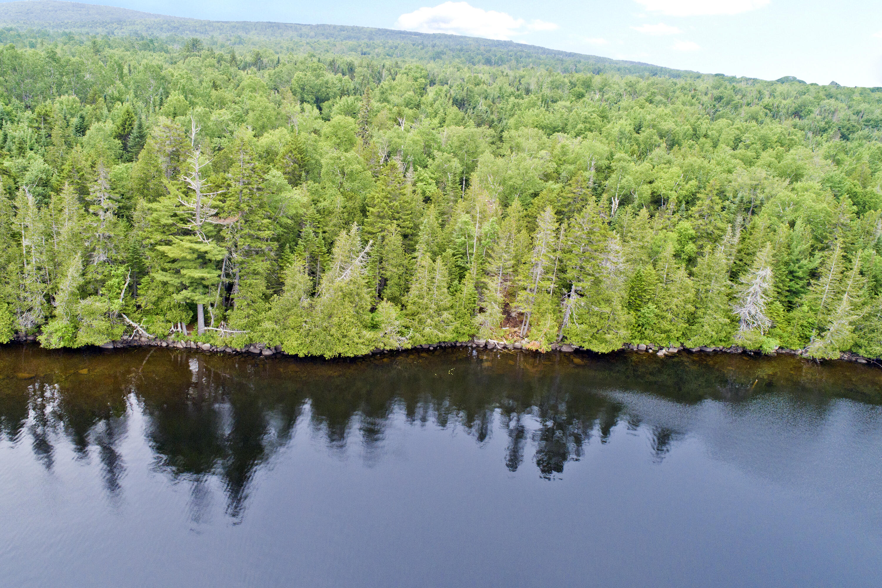 Lot 2 Saddleback Mountain Road Dallas Plt, ME 04970 - Photo 13 of 27 saddleback shore1