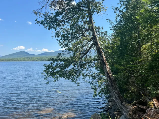 $500,000 | Lot 2 Saddleback Mountain Road, Dallas Plt, ME 04970