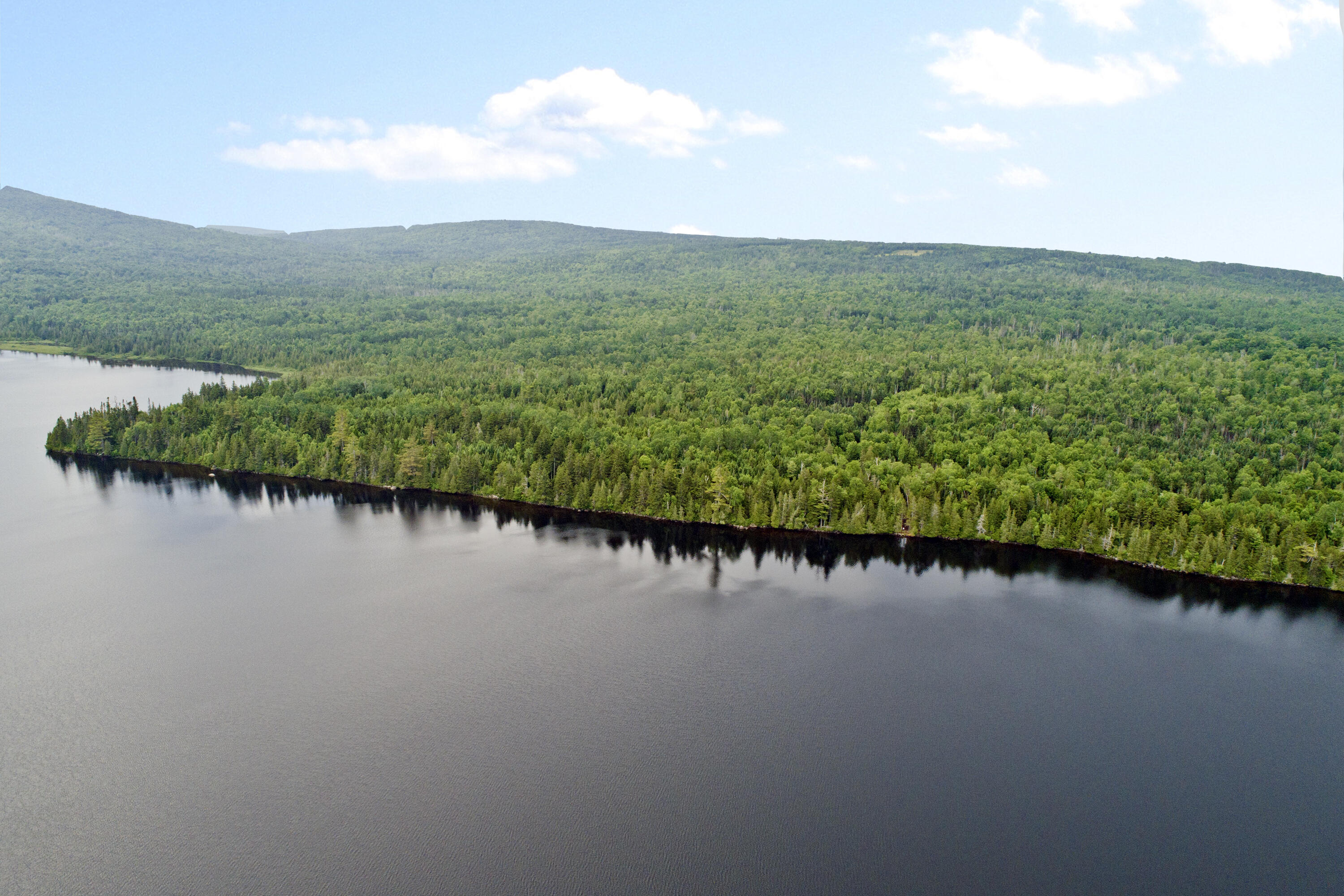Lot 2 Saddleback Mountain Road Dallas Plt, ME 04970 - Photo 19 of 27 saddleback 5