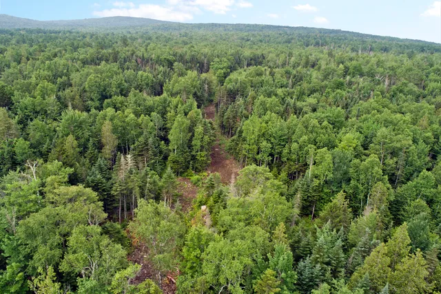 $500,000 | Lot 2 Saddleback Mountain Road, Dallas Plt, ME 04970