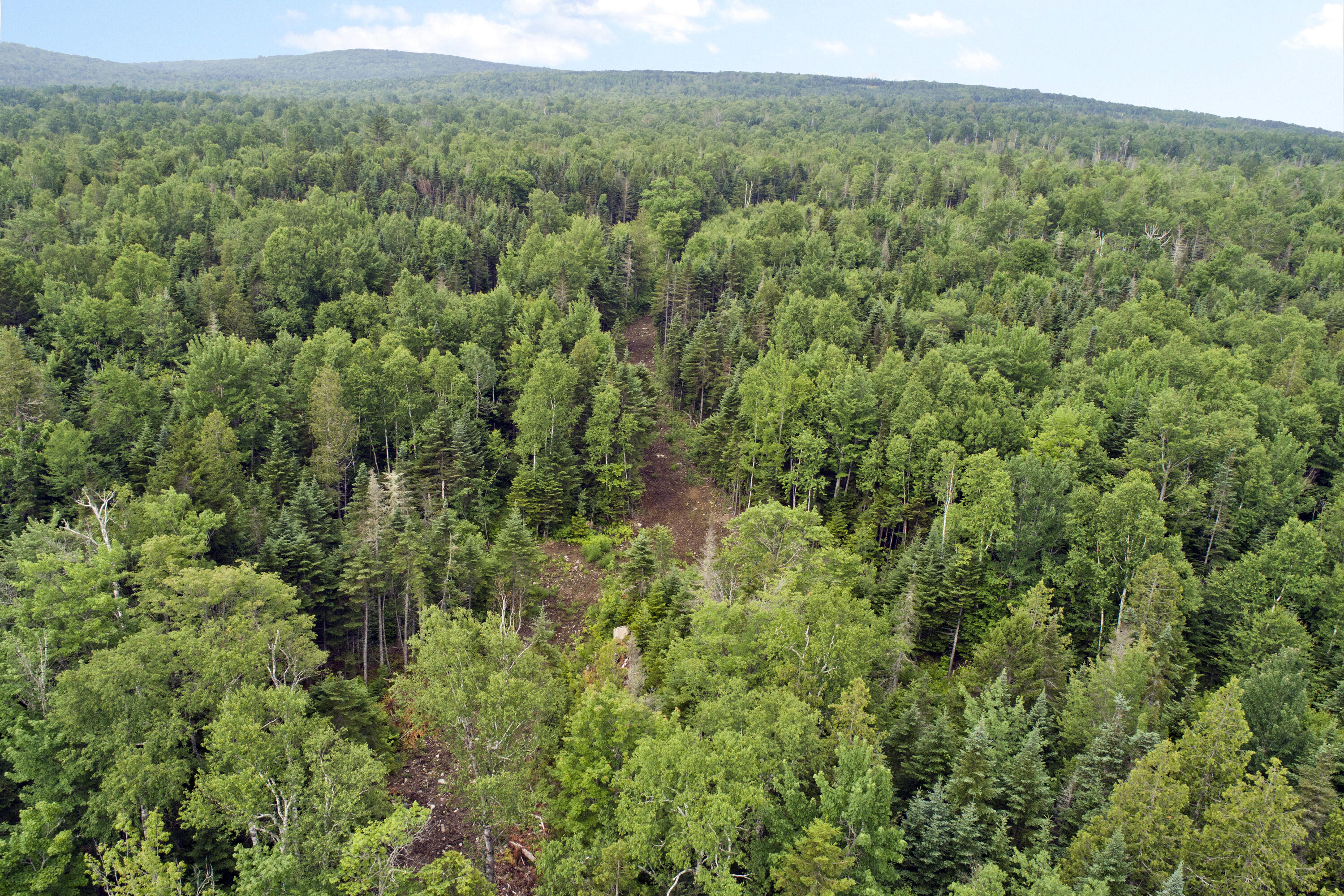 Lot 2 Saddleback Mountain Road Dallas Plt, ME 04970 - Photo 20 of 27 saddleback house site