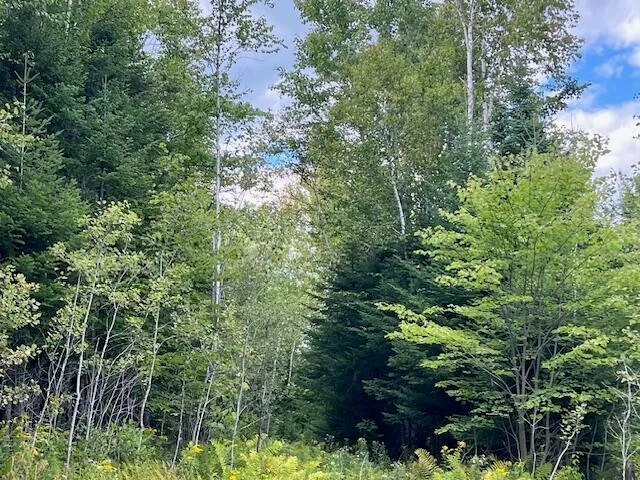 $500,000 | Lot 2 Saddleback Mountain Road, Dallas Plt, ME 04970