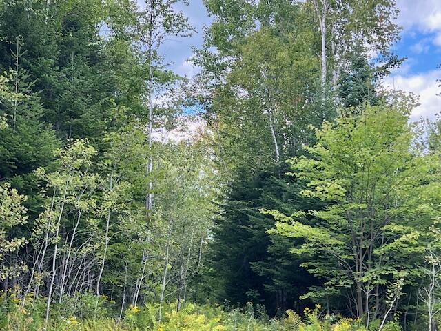 Lot 2 Saddleback Mountain Road Dallas Plt, ME 04970 - Photo 22 of 27 IMG_9660