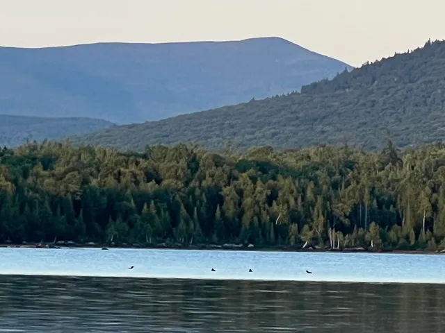 $500,000 | Lot 2 Saddleback Mountain Road, Dallas Plt, ME 04970