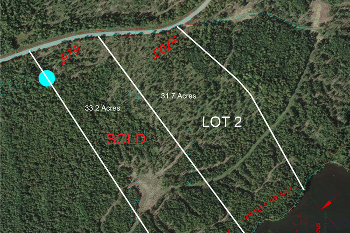 Lot 2 Saddleback Mountain Road Dallas Plt, ME 04970 - Photo 3 of 27 Lot 2 layout