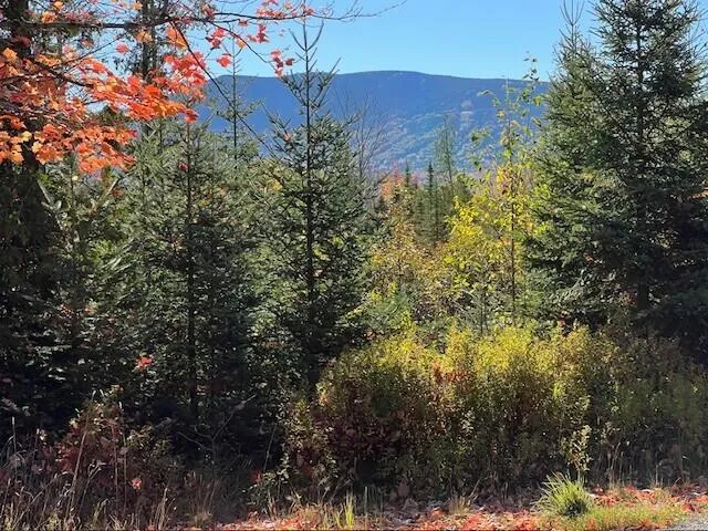 $500,000 | Lot 2 Saddleback Mountain Road, Dallas Plt, ME 04970