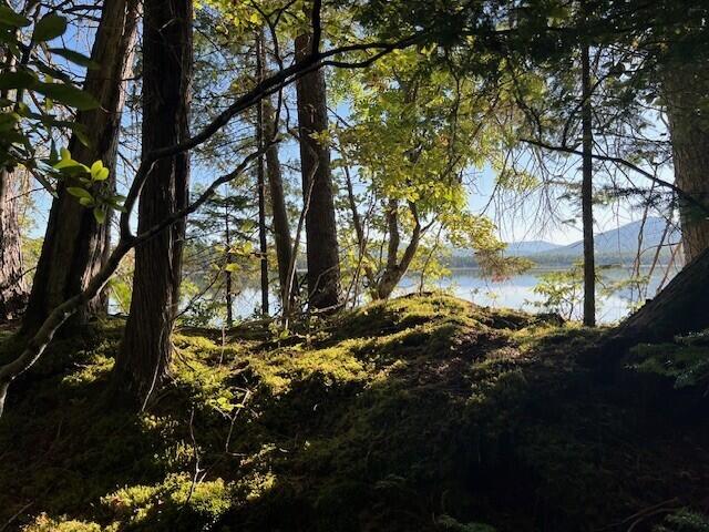 Lot 2 Saddleback Mountain Road Dallas Plt, ME 04970 - Photo 9 of 27 lot 2 moss