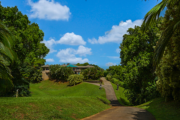 4700 Kapuna Road Kilauea, HI 96754 - Photo 2 of 17 a view of a garden