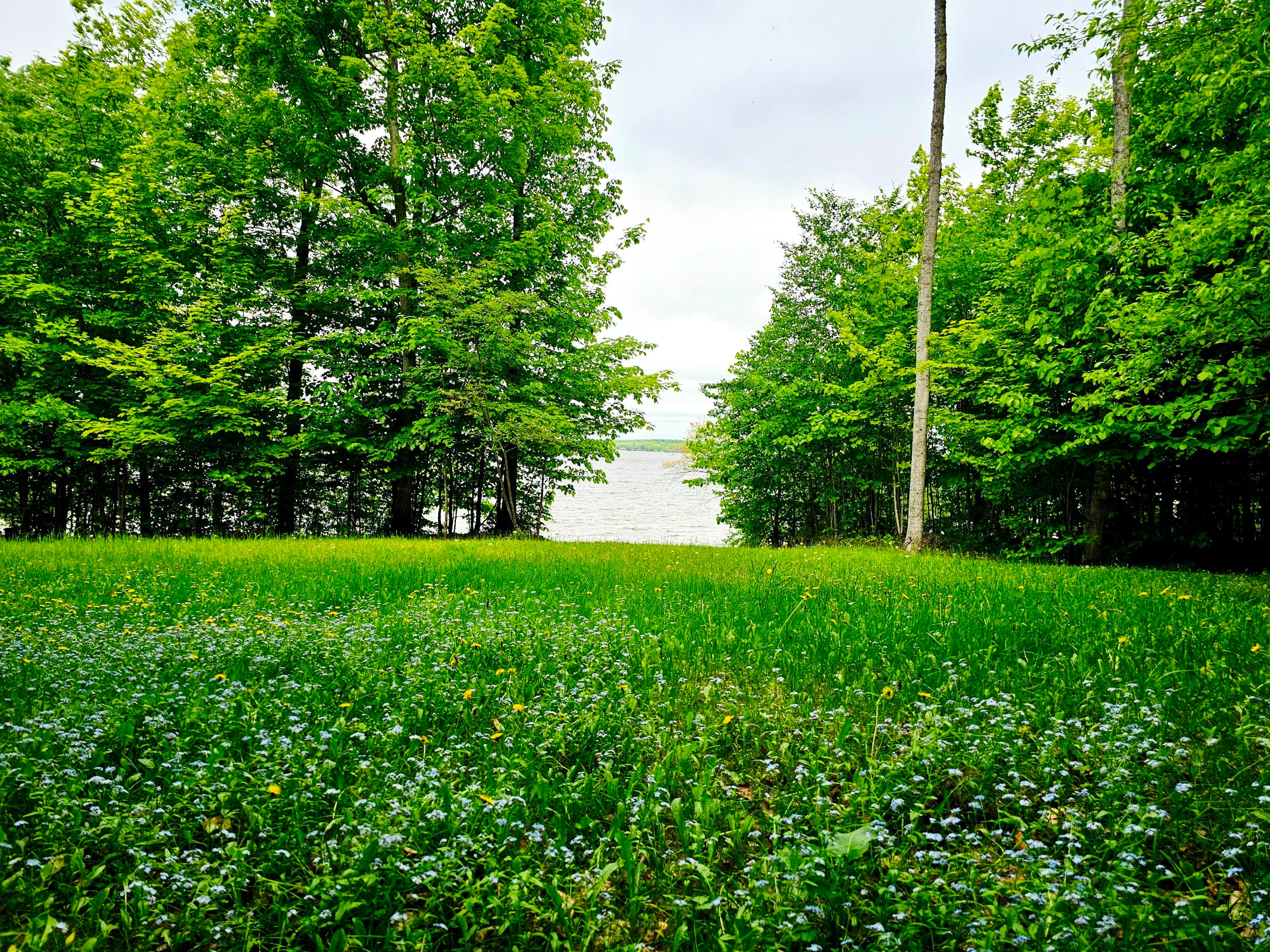0 Needle Pointe Road Germfask, MI 49836 - Photo 12 of 22 Gallery Image 12