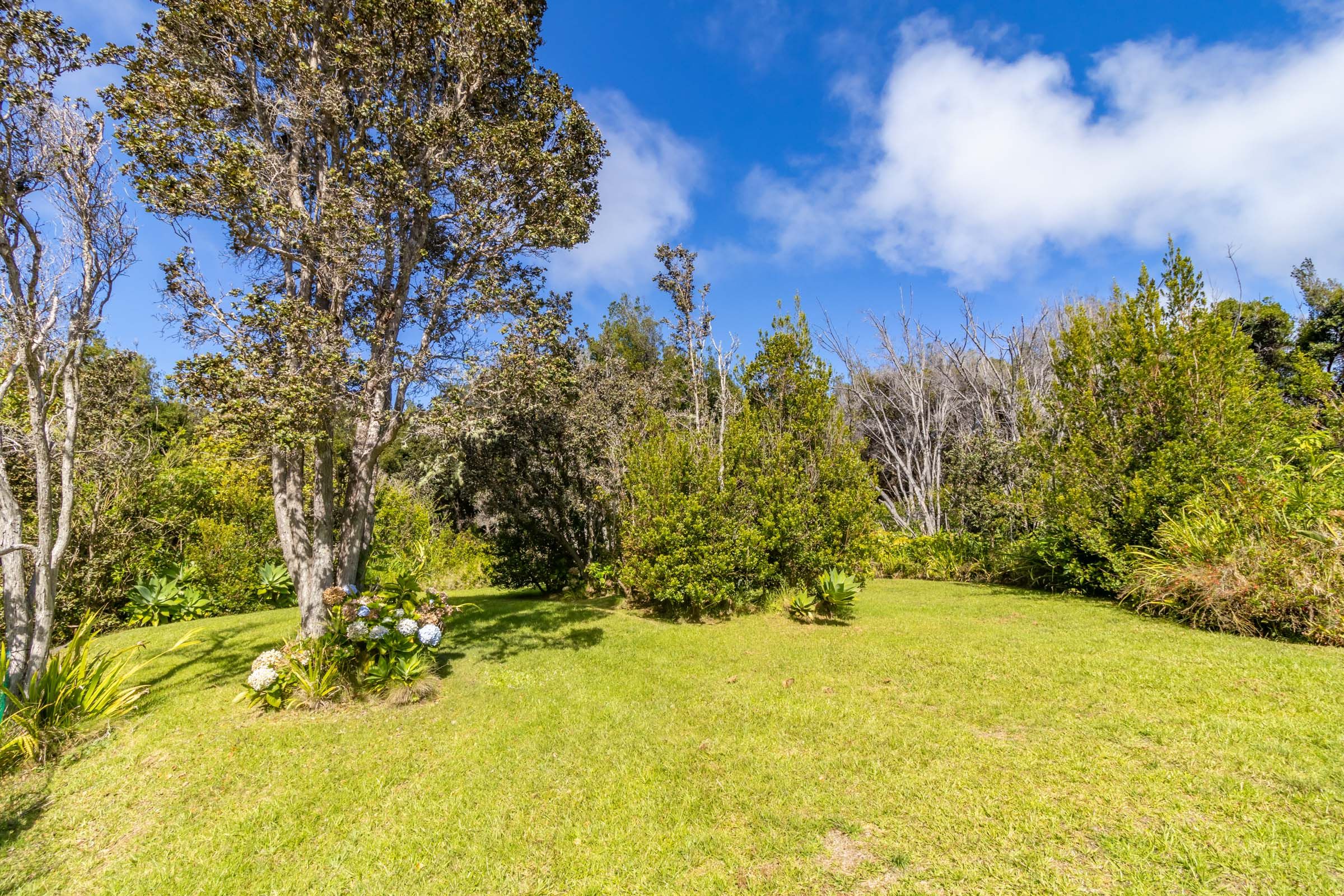 99-1775 Pukeawe Circle Volcano, HI 96785 - Photo 24 of 30
