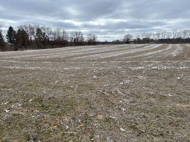 18580 Bull Run Road Gregory, MI 48137 - Photo 1 of 9 Shooting from NW corner to NE Corner