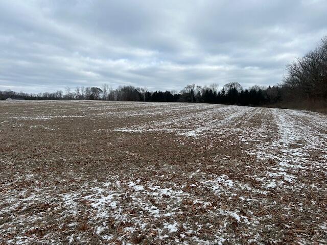 18580 Bull Run Road Gregory, MI 48137 - Photo 2 of 9 Corner of Bull Run and Wasson