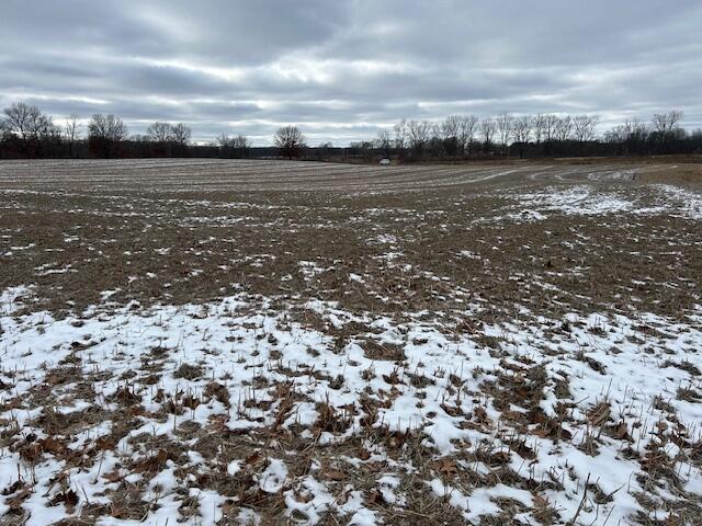 18580 Bull Run Road Gregory, MI 48137 - Photo 4 of 9 NE Corner shooting toward SW Corner