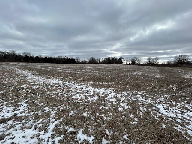 18580 Bull Run Road Gregory, MI 48137 - Photo 5 of 9 NW corner toward SE corner