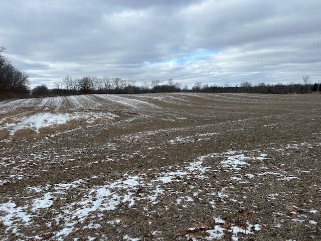 18580 Bull Run Road Gregory, MI 48137 - Photo 6 of 9 SE corner at Wasson
