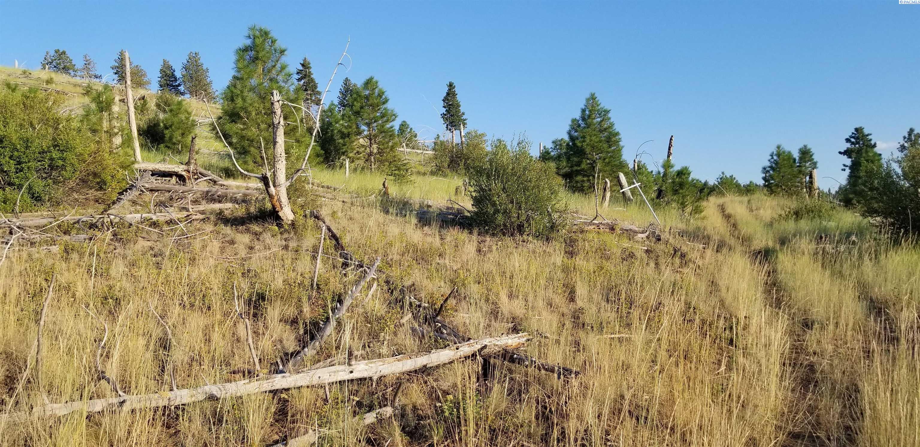 Lot1-tbd Lot1-tbd Stevens Ridge Pomeroy, WA 99347 - Photo 22 of 47 Gallery Image 22
