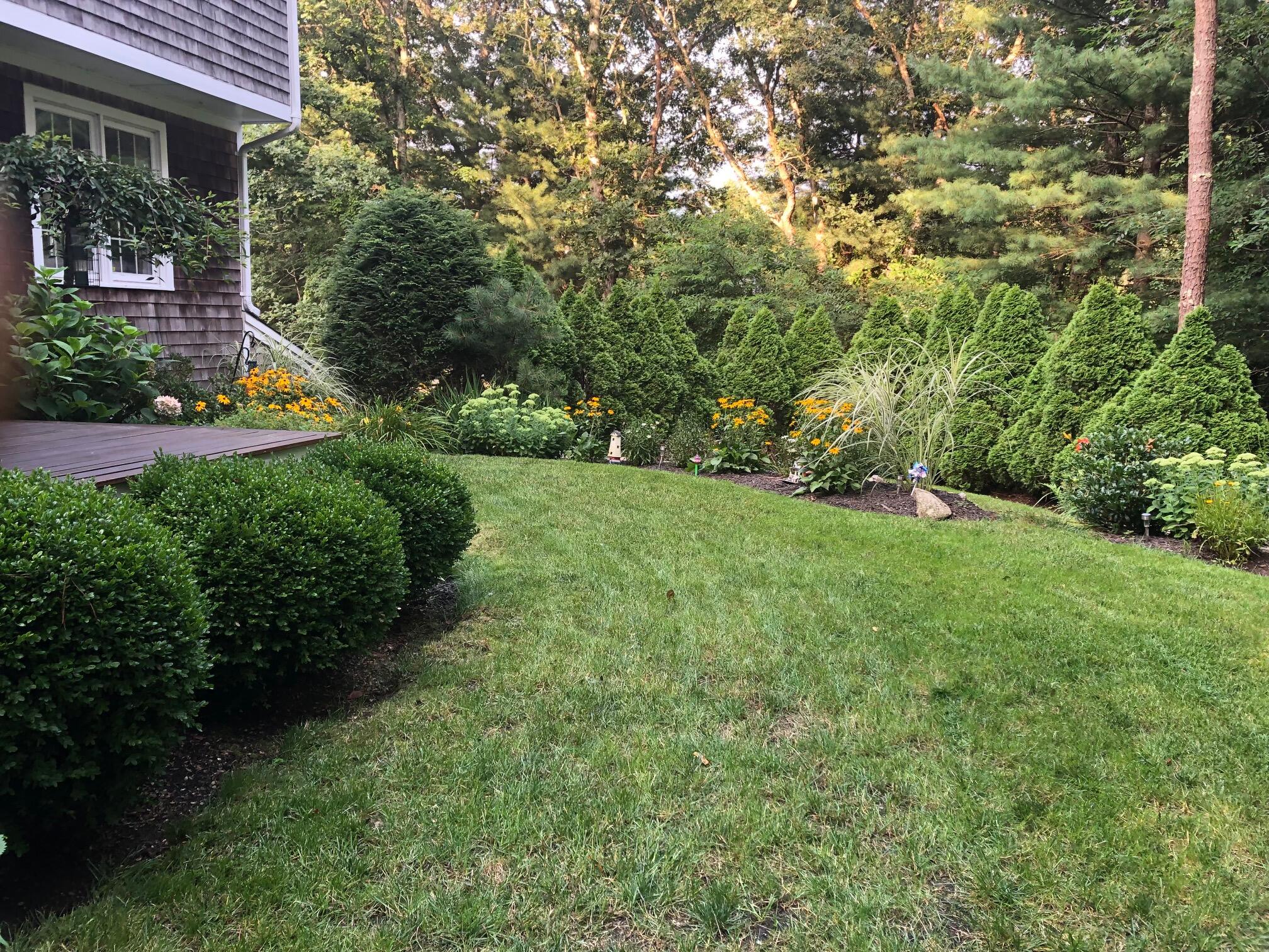 1 Country Farm Road Forestdale, MA 02644 - Photo 3 of 54 a view of a backyard with plants and a garden