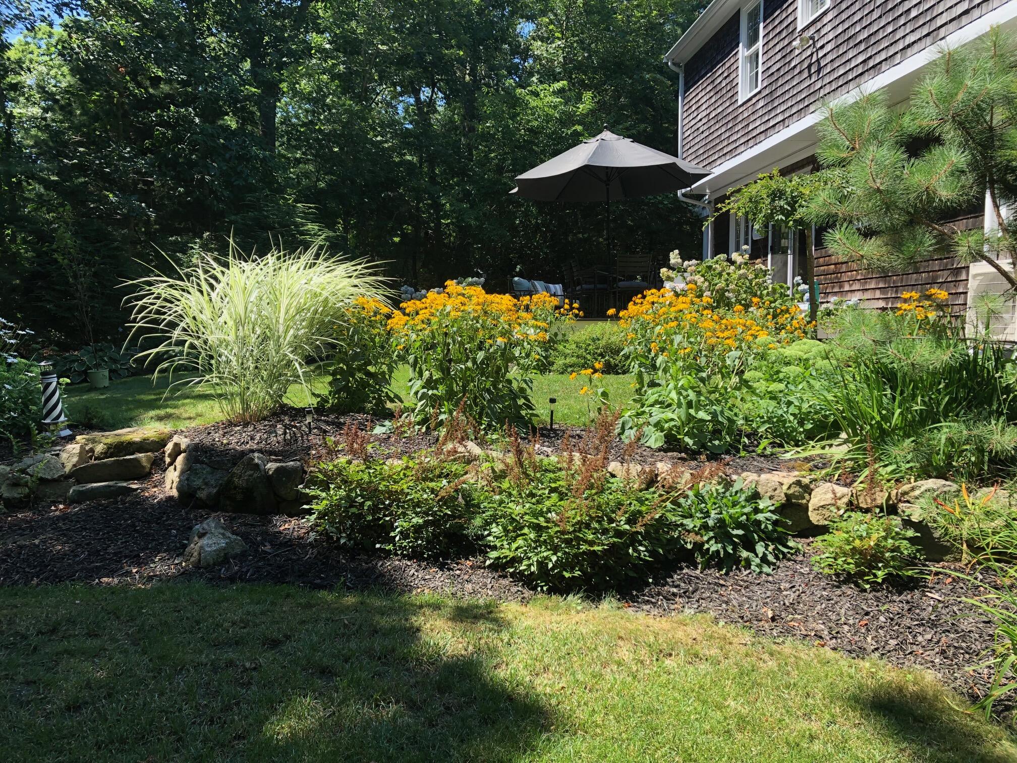 1 Country Farm Road Forestdale, MA 02644 - Photo 40 of 54 a view of a garden with plants