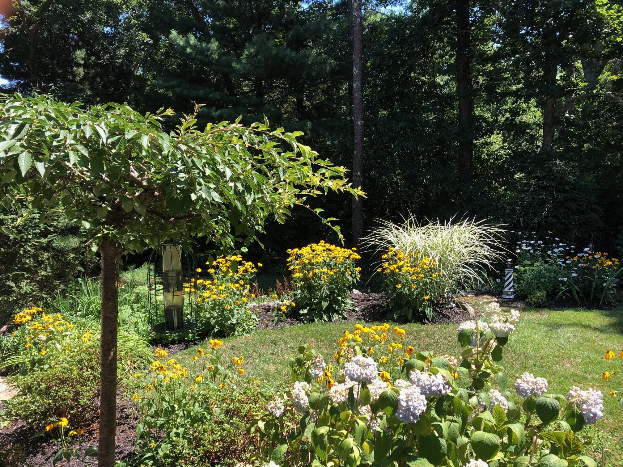 1 Country Farm Road Forestdale, MA 02644 - Photo 43 of 54 a view of a garden with flowers