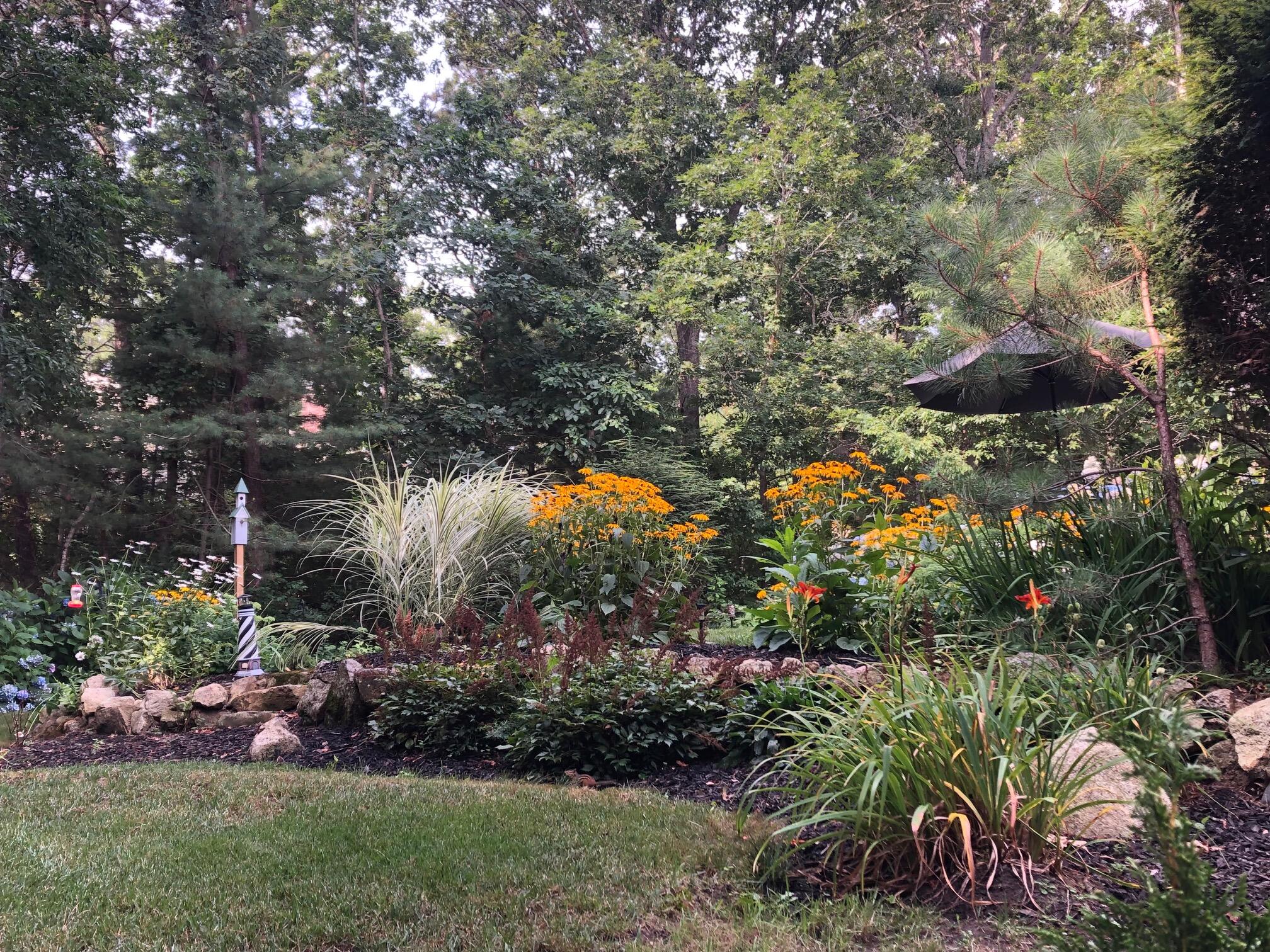 1 Country Farm Road Forestdale, MA 02644 - Photo 44 of 54 a view of a garden