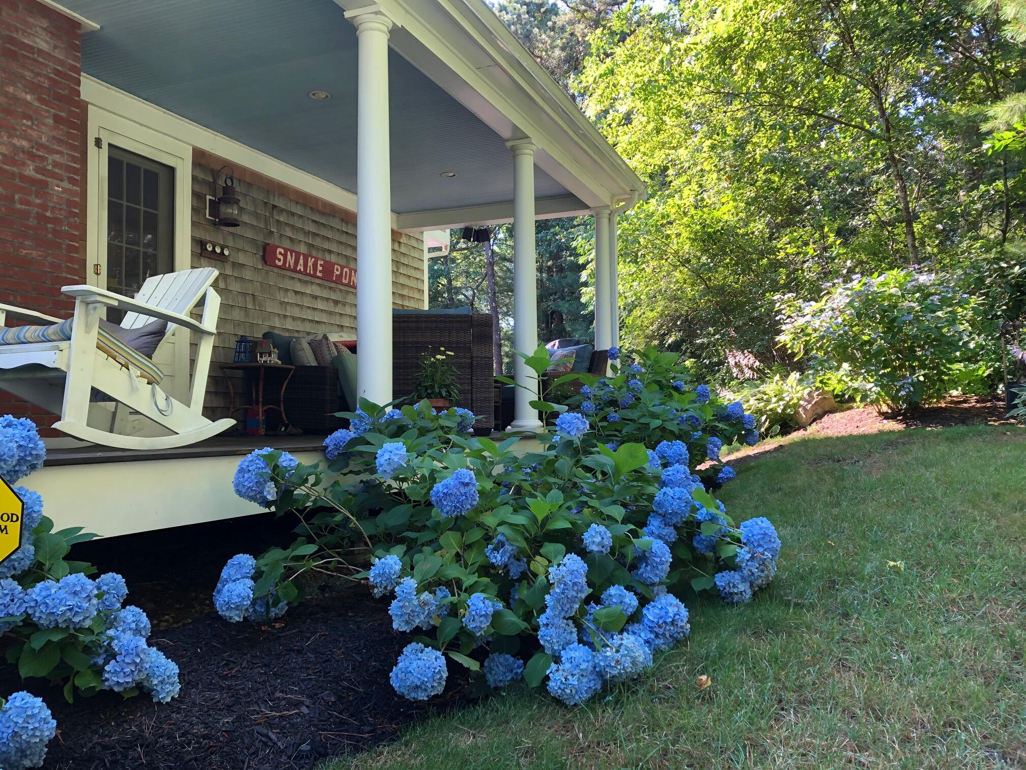 1 Country Farm Road Forestdale, MA 02644 - Photo 46 of 54 a bunch of flowers are in front of house