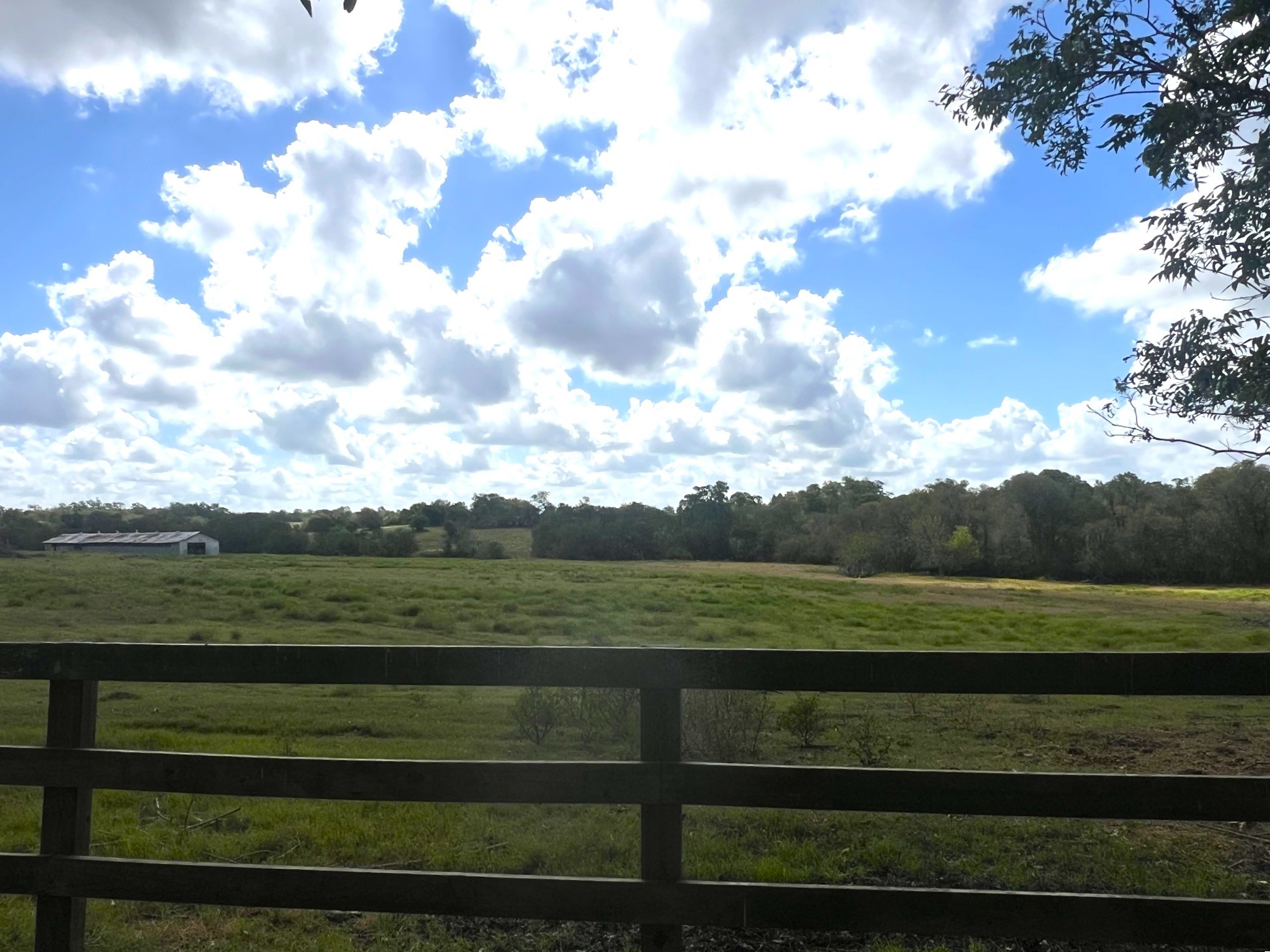 1137 Stokes Road Fayetteville, TX 78940 - Photo 20 of 24 Beautiful views from home