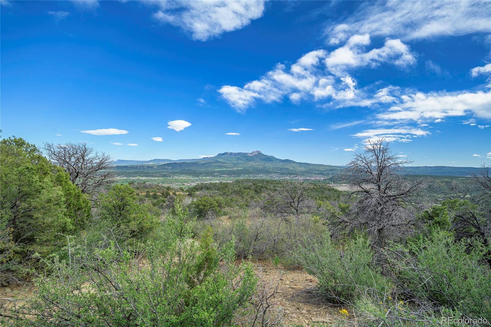 15621 Rancho Verde Road Trinidad, CO 81082 - Photo 14 of 45 Gallery Image 14