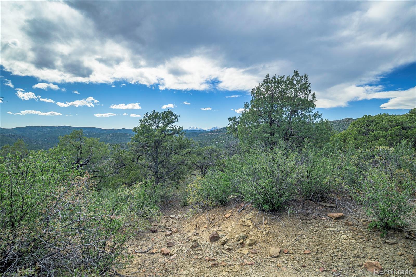 15621 Rancho Verde Road Trinidad, CO 81082 - Photo 15 of 45 Gallery Image 15