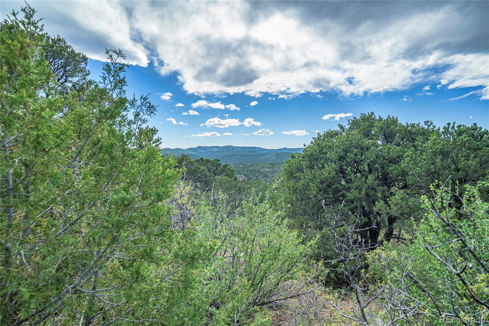 15621 Rancho Verde Road Trinidad, CO 81082 - Photo 17 of 45 Gallery Image 17
