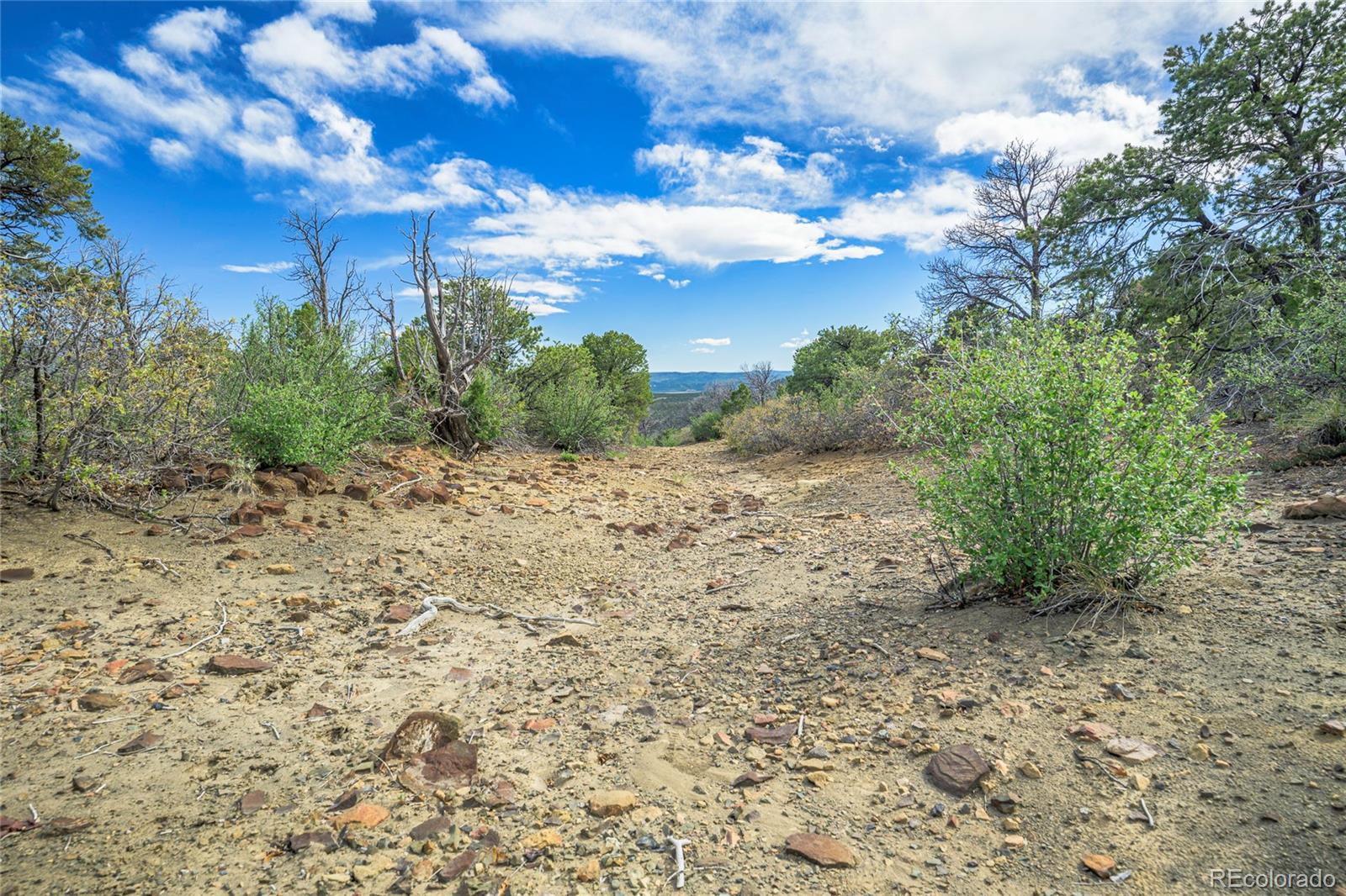 15621 Rancho Verde Road Trinidad, CO 81082 - Photo 21 of 45 Gallery Image 21